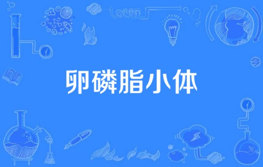 卵磷脂小体