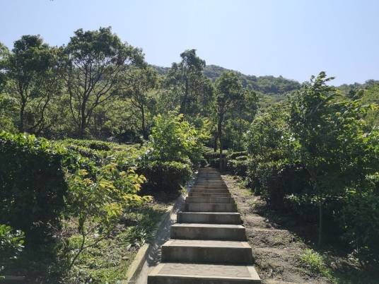象窝山生态园
