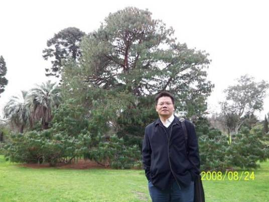 杨新华（华中科技大学教授、博士生导师）