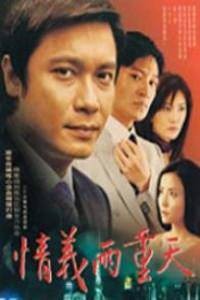 情义两重天（2002年罗嘉良主演电视剧）