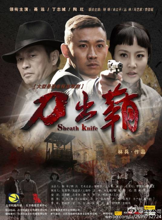 刀出鞘（2012年聂远、陶红等主演的悬疑剧）