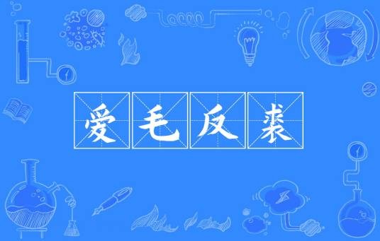 爱毛反裘