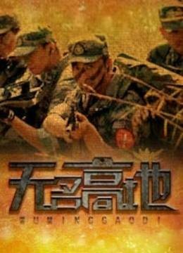无名高地（2012年程东海执导的电视剧）