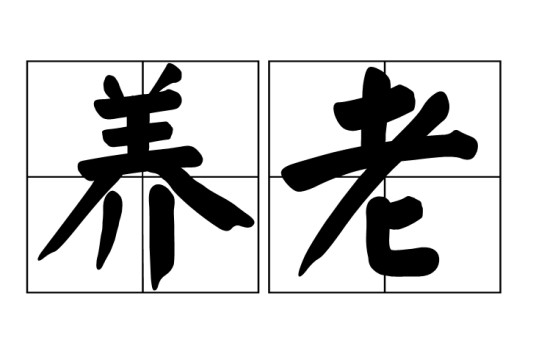 养老（社会保障的一个种类）