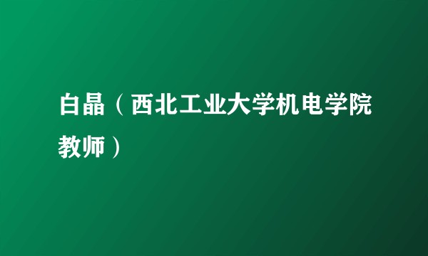 白晶(西北工业大学机电学院教师)
