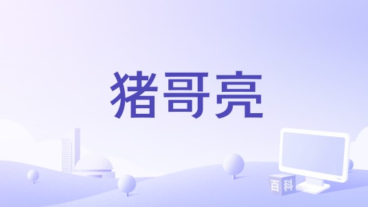 猪哥亮（休闲类手游）
