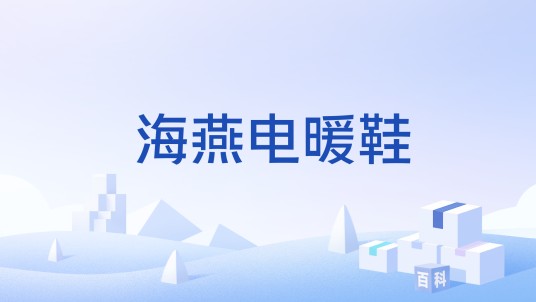 海燕电暖鞋