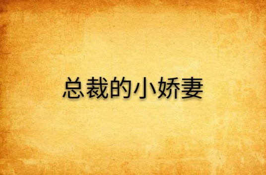 总裁的小娇妻（不漓不泣创作的网络小说）