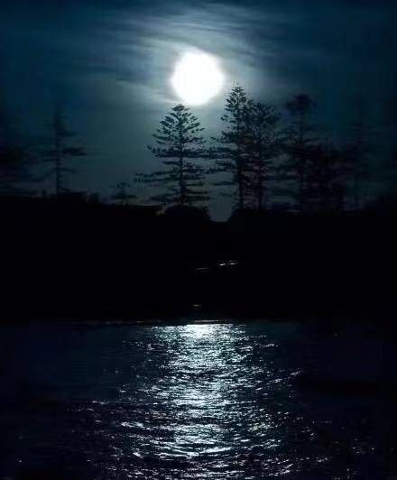 月下江溪村