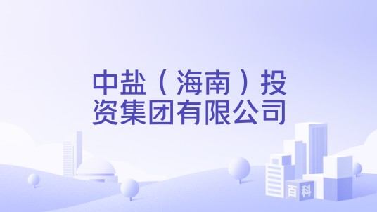 中盐（海南）投资集团有限公司