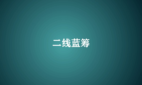 二线蓝筹