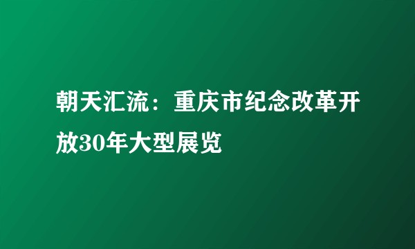朝天汇流：重庆市纪念改革开放30年大型展览