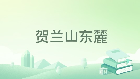 贺兰山东麓（2022年宁夏人民出版社出版的图书）