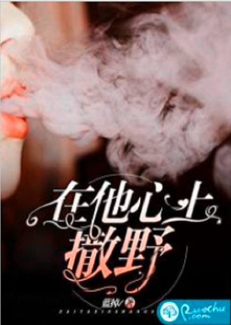 在他心上撒野（蓝掉创作的网络小说）