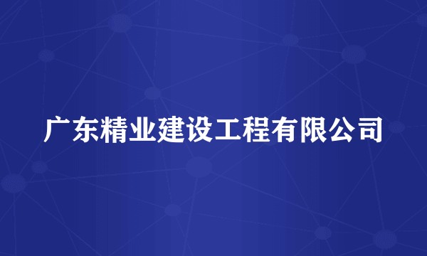 广东精业建设工程有限公司