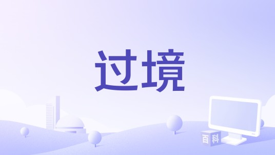 过境（1991年法国电影）