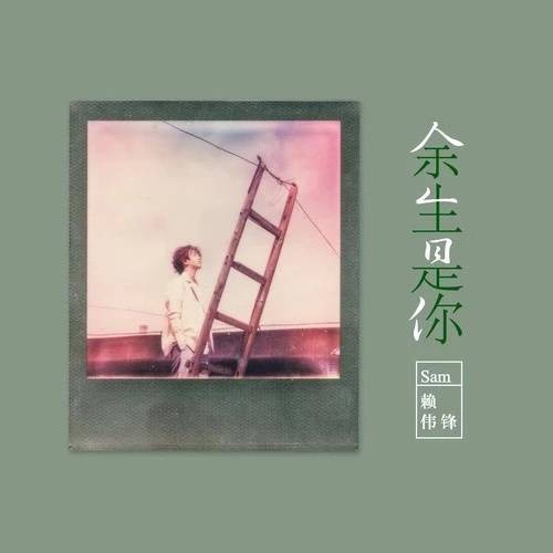 余生是你(赖伟锋演唱歌曲)