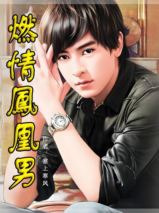 燃情代价：都市凤凰男