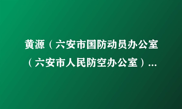 黄源（六安市国防动员办公室（六安市人民防空办公室）党组成员、副主任）