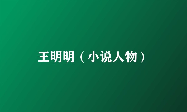 王明明（小说人物）