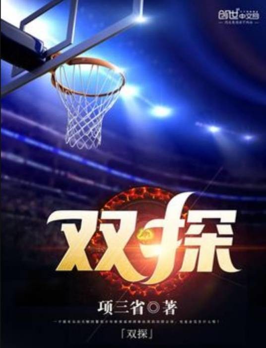 双探（项三省所著小说）