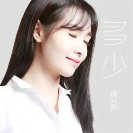 多少（魏允熙演唱歌曲）