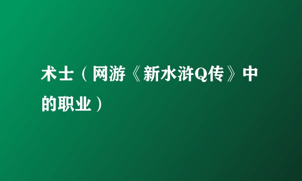 术士（网游《新水浒Q传》中的职业）