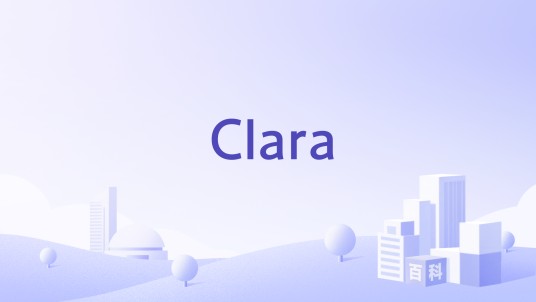 Clara（金融科技企业）