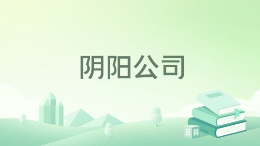 阴阳公司