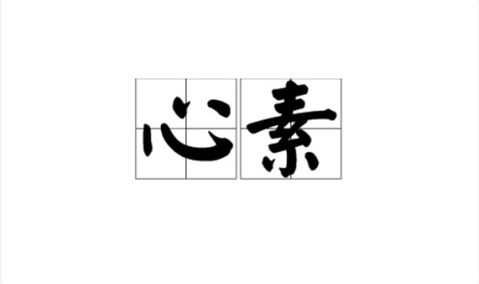 心素（汉语词语）