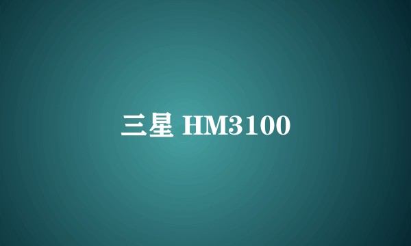 三星 HM3100
