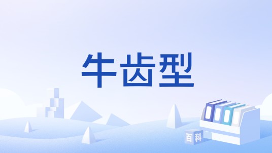 牛齿型
