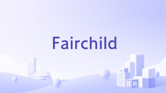 Fairchild（厦门昊盛工贸有限公司开发的工业品采购软件）