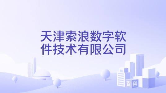 天津索浪数字软件技术有限公司