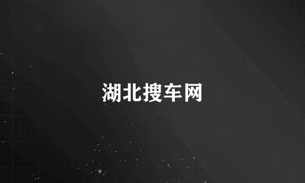 湖北搜车网