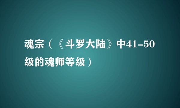 魂宗（《斗罗大陆》中41-50级的魂师等级）