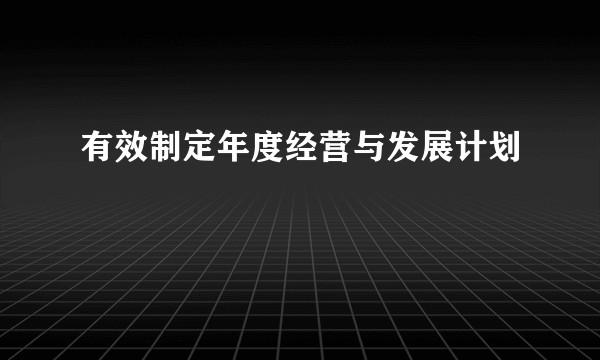 有效制定年度经营与发展计划