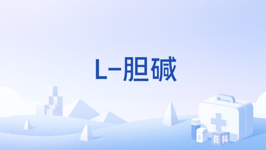 L-胆碱