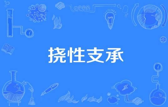 挠性支承