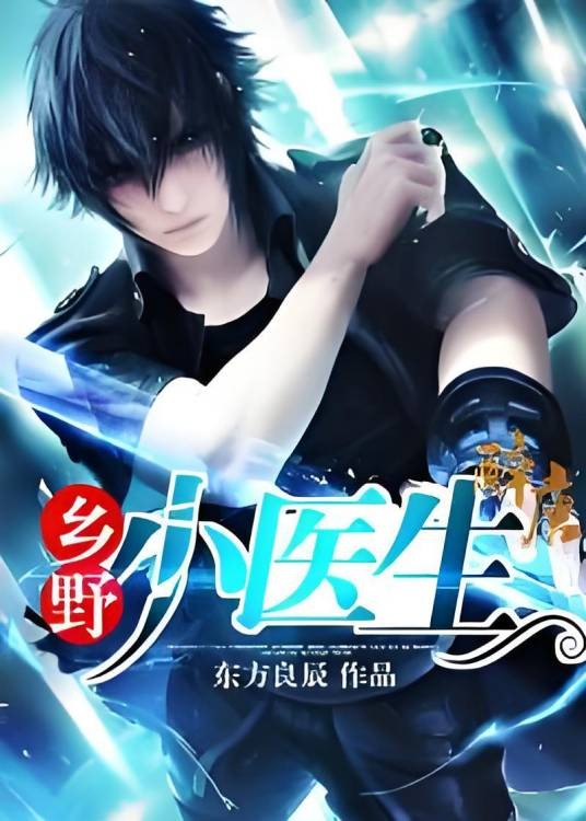 乡野小医生（东方良辰创作的都市类网络小说）