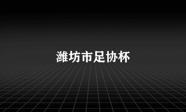 潍坊市足协杯