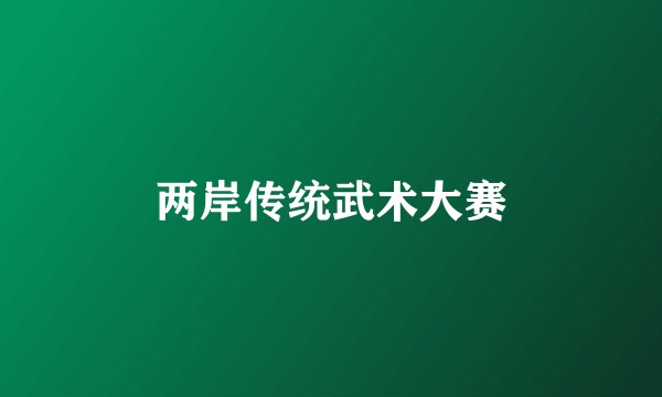 两岸传统武术大赛