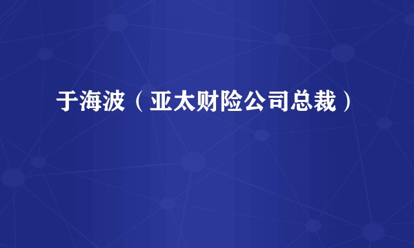 于海波（亚太财险公司总裁）