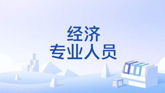 经济专业人员