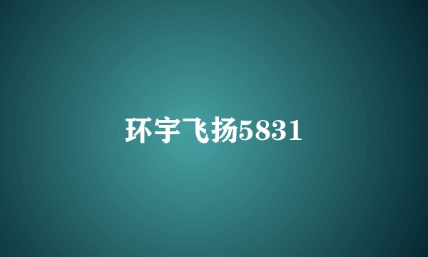 环宇飞扬5831