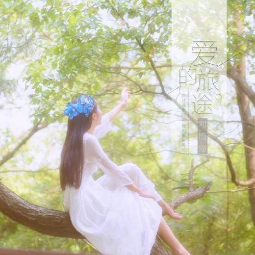 错爱的人（刘增瞳演唱歌曲）