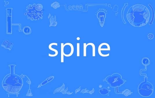 Spine（英语单词）