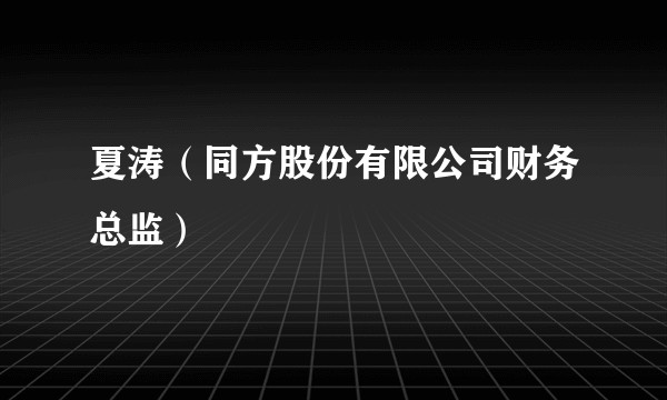 夏涛(同方股份有限公司财务总监)