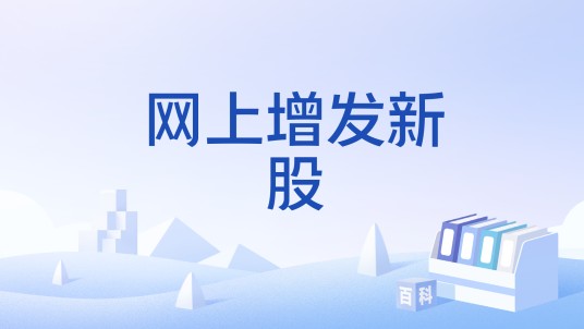 网上增发新股