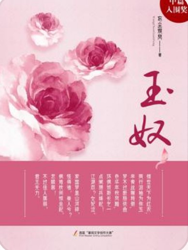 玉奴（忘尘观风创作的小说）